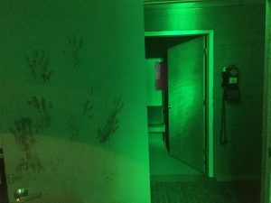 Zombie Escape Room, Cure Z, Poconos