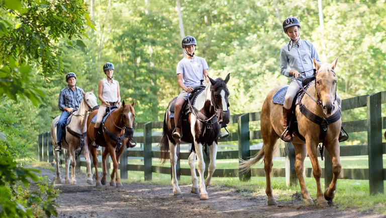 Horseback riding fun summer things to do poconos